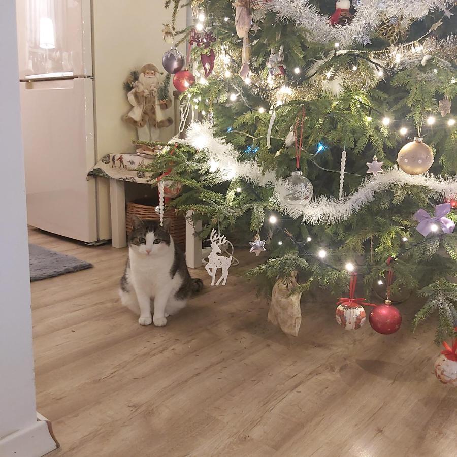 Nadmorskie Apartamenty Устка Екстериор снимка